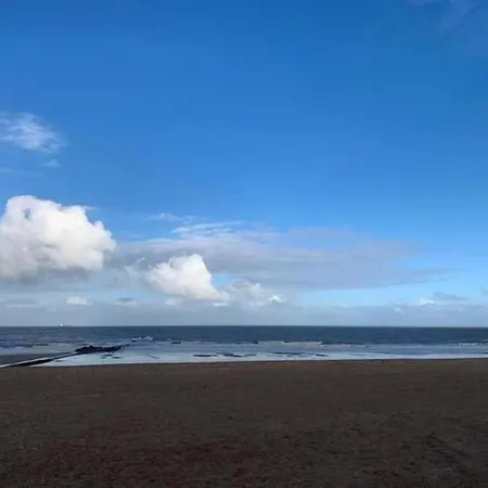 Sunny By The Seaside *